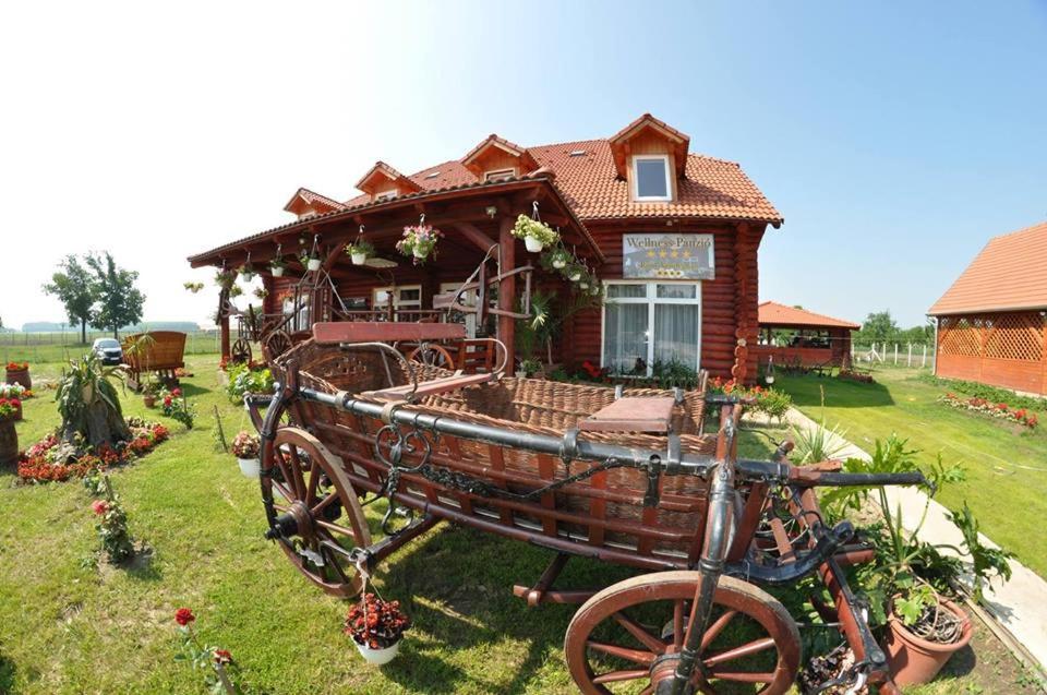 Rönk-wellness panzió Mezőpeterd Mezopeterd Exterior foto
